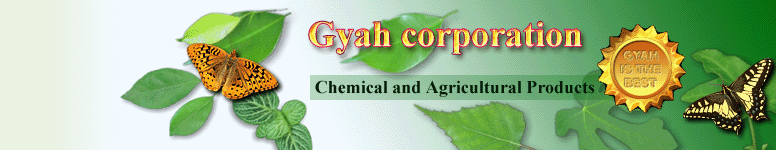 Gyah Corporation