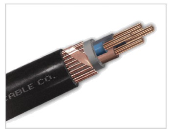 Concentric XLPE Insulated Power Cable - N2XCY