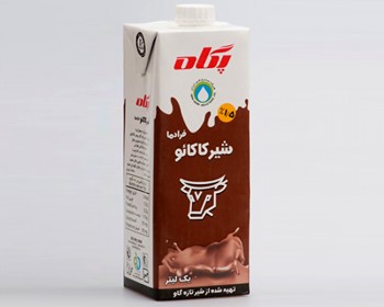 Milk - chocolate 