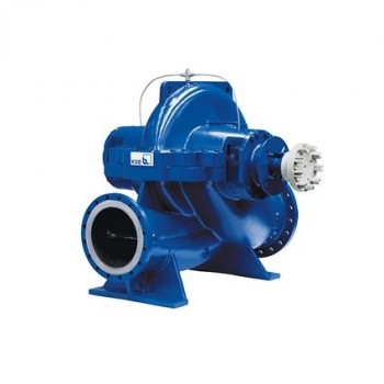 Double Suction Pump | Iran Exports Companies, Services & Products | IREX