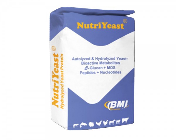 Nutri-yeast - powder