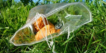 Biodegradable Masterbatches - 
