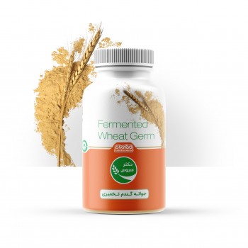 Fermented Wheat Germ Powder - 