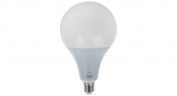 Bulb Series - 