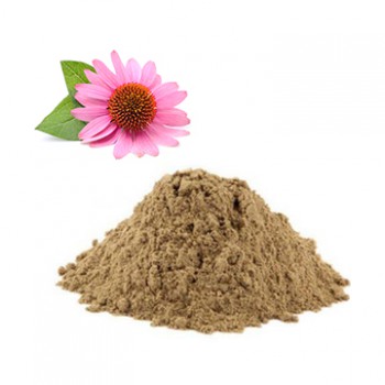 Purple coneflower Dry Extract | Iran Exports Companies, Services & Products | IREX