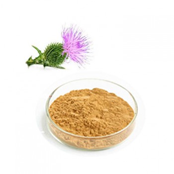 Milk thistle Dry Extract | Iran Exports Companies, Services & Products | IREX