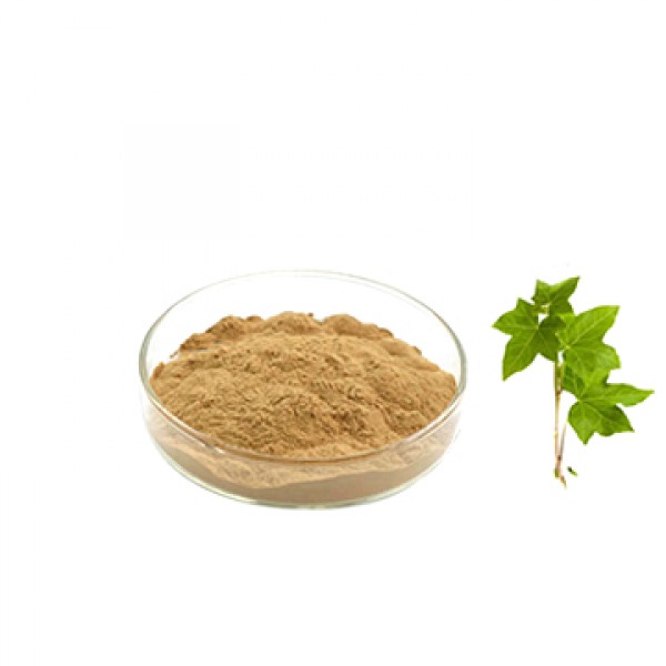 Ivy dry extract | Iran Exports Companies, Services & Products | IREX