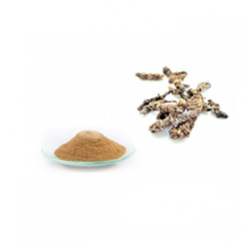 Valerian ِDry Extract | Iran Exports Companies, Services & Products | IREX