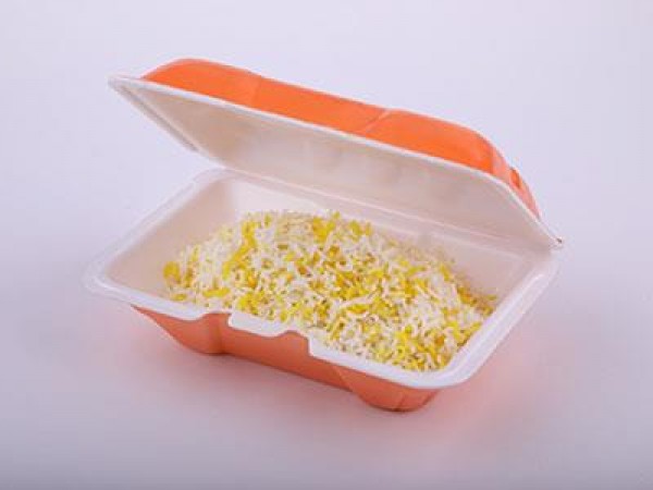 Disposable single lunch box | Iran Exports Companies, Services & Products | IREX