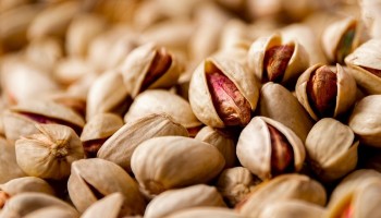  LONG pistachio | Iran Exports Companies, Services & Products | IREX