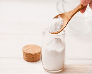 Dairy creamer powder - Edible Powder