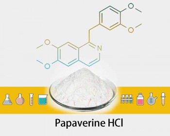 Papaverine hcl - 