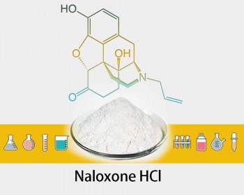 Налоксона гидрохлорид - 