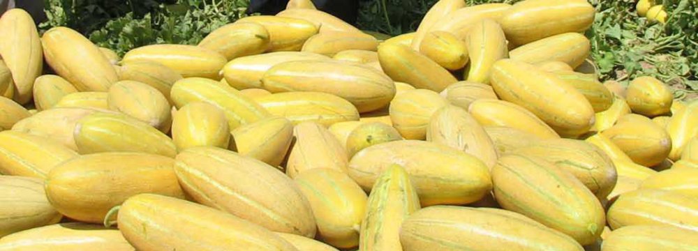 Citrus, Melon Zest Exports Earn $277m
