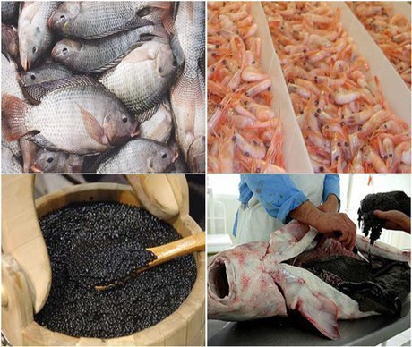 Fishery exports up 37% in 9 months year-on-year