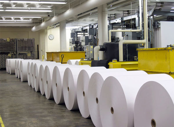 Papermaking up 35% in 10 months yr/yr